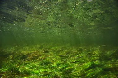 Güneş ışınları suyun altında, deniz manzarası tatlı su nehri dalışı
