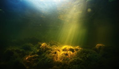 Güneş ışınları suyun altında, deniz manzarası tatlı su nehri dalışı