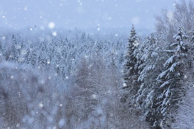 Kış arkaplan karları soyut beyaz bulanık