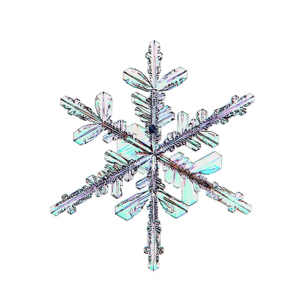 Floco Neve Objeto Isolado Fundo Branco Cristal Foto Natural — Fotografia de Stock