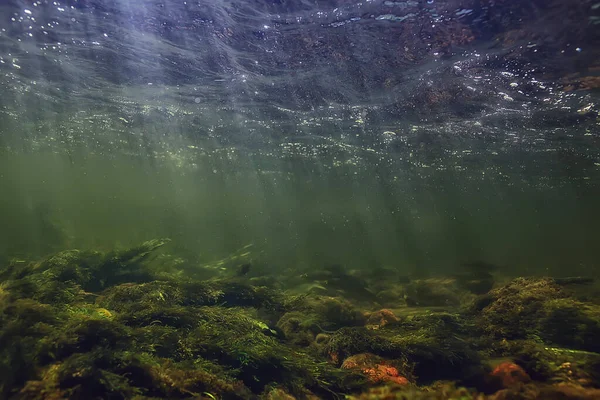 Sol Rayos Bajo Paisaje Del Agua Paisaje Marino Agua Dulce — Foto de Stock