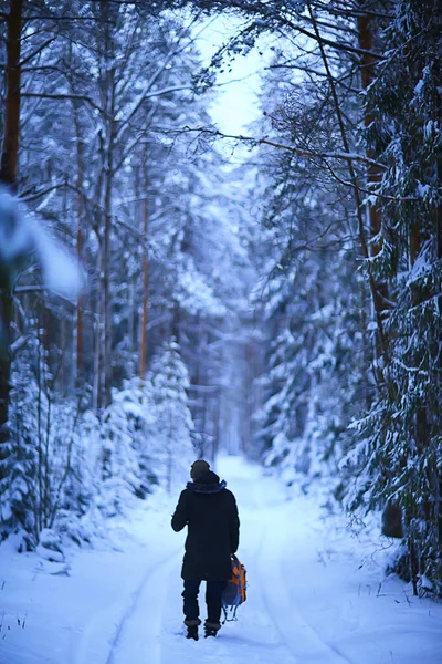 Abend Winter Waldlandschaft Blick Auf Dunkle Bäume Mystisch — Stockfoto