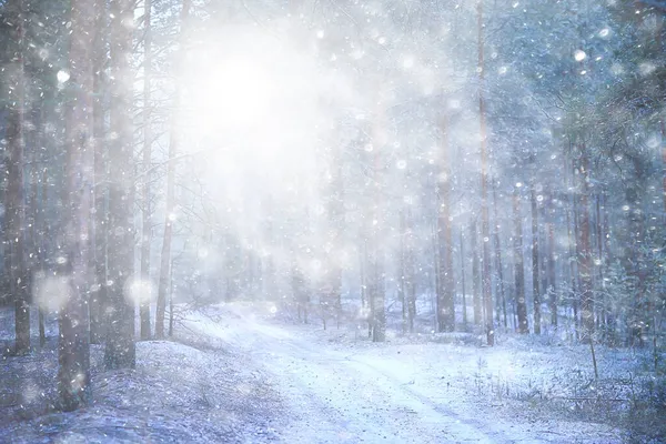 Zima Tło Opady Śniegu Drzewa Abstrakcyjne Niewyraźne Biały — Zdjęcie stockowe