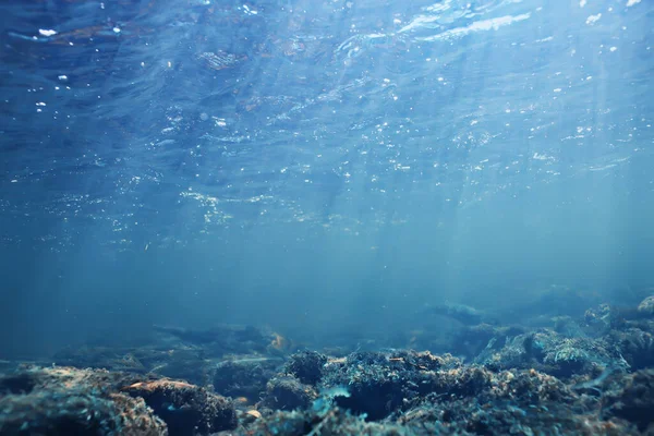 Sonnenstrahlen Unter Wasserlandschaft Meerlandschaft Süßwasser Flusstauchen — Stockfoto