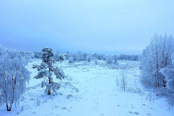 Trees Frost Drone Abstract View Background December Landscape Outdoor Trees — Stock Photo, Image