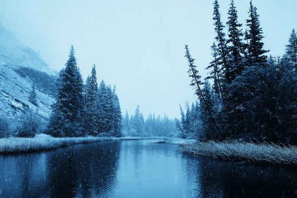 Höst Dimma Landskap Skog Berg Träd Utsikt Dimma — Stockfoto