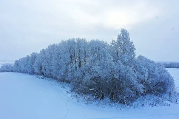 Träd Frost Drönare Abstrakt Bakgrund December Landskap Utomhus Träd Snö — Stockfoto