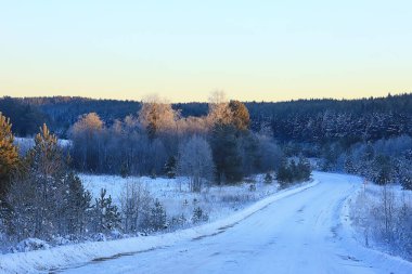 Kış manzarası ağaçları kırağı kaplamış.