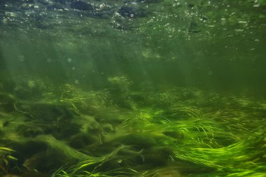 Güneş ışınları suyun altında, deniz manzarası tatlı su nehri dalışı