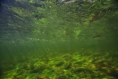 Suyun altında taze su, altında güneş ışınları olan yeşil arka plan, su