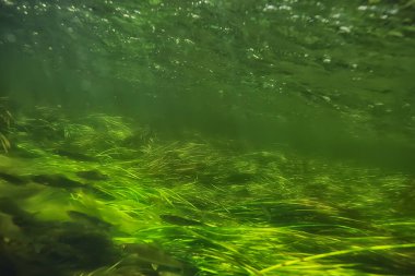 Göldeki su altı geçmişi soyut, temiz tatlı su.
