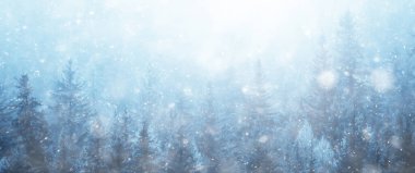 Kış arkaplan karları soyut beyaz bulanık