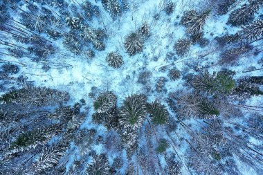 Ağaçlar orman buzu üst görünüm arka plan, soyut drone görünüm doğa mevsimsel kış çayırı