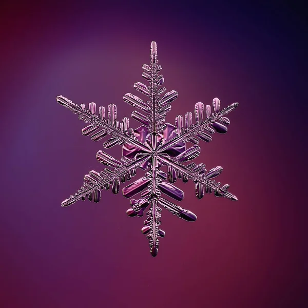 Cristal Copo Nieve Macro Foto Objeto Natural Diseño Invierno — Foto de Stock