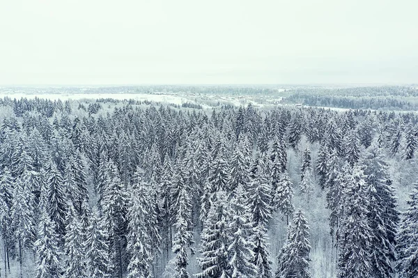 Arbres Forêt Gel Vue Dessus Fond Abstrait Drone Vue Nature — Photo