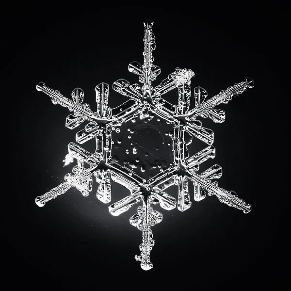 Floco Neve Isolado Fundo Preto Foto Natural Cristal Inverno Design — Fotografia de Stock