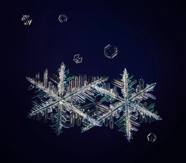 Makro Kryształowe Płatki Śniegu Fotografia Obiekt Naturalny Projekt Zimowy — Zdjęcie stockowe
