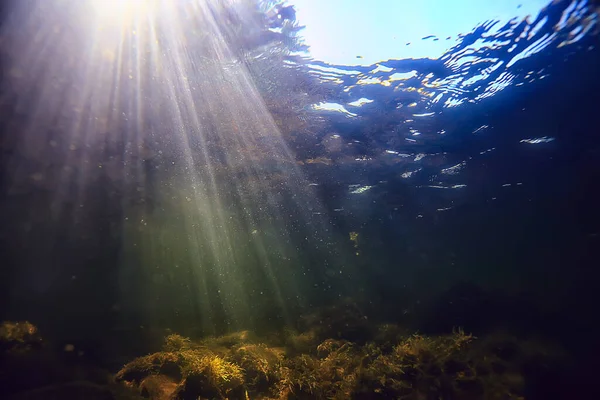 Promienie Słoneczne Pod Wodnym Krajobrazem Krajobraz Morski Nurkowanie Słodką Wodą — Zdjęcie stockowe