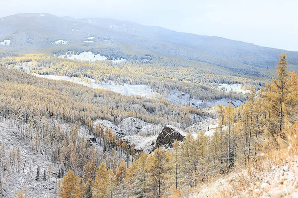 Otoño Bosque Heladas Nieve Altai Paisaje Hermosa Naturaleza —  Fotos de Stock