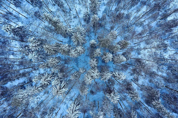 森の霜トップビュー背景抽象的なドローンビュー自然季節の冬のスプルース — ストック写真