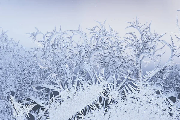 Pencere camındaki buz desenleri, soyut arka plan kış rime karı