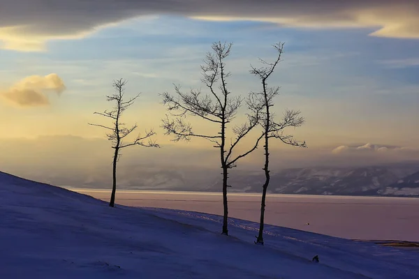 Χειμερινό Τοπίο Olkhon Νησί Λίμνη Baikal Ταξίδια Ρωσία — Φωτογραφία Αρχείου