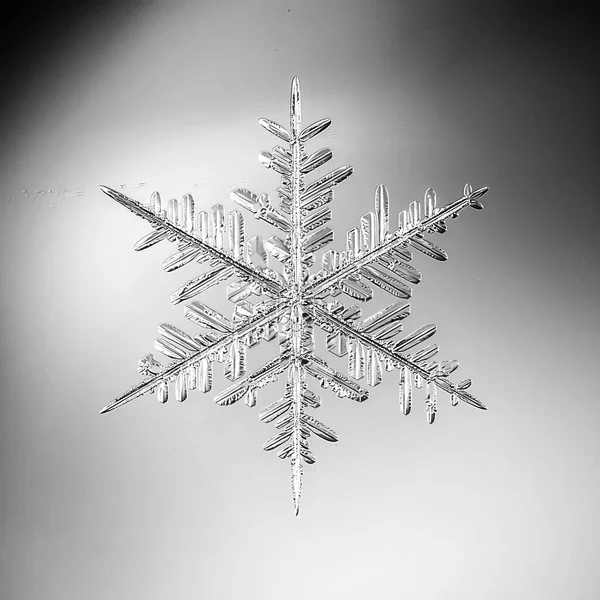 Floco Neve Cristal Macro Foto Objeto Natural Design Inverno — Fotografia de Stock