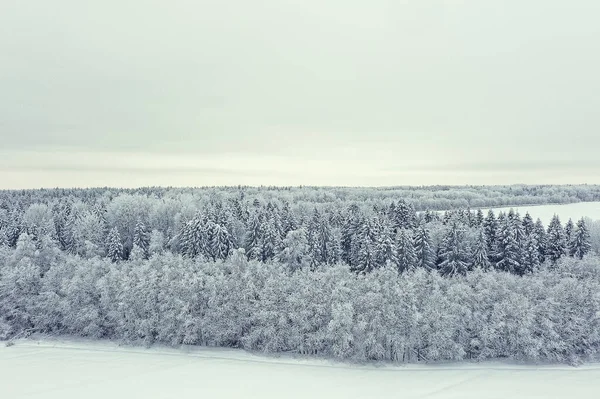 Ağaçlar Don Dronu Soyut Görünüm Arka Plan Aralık Manzarası Açık — Stok fotoğraf