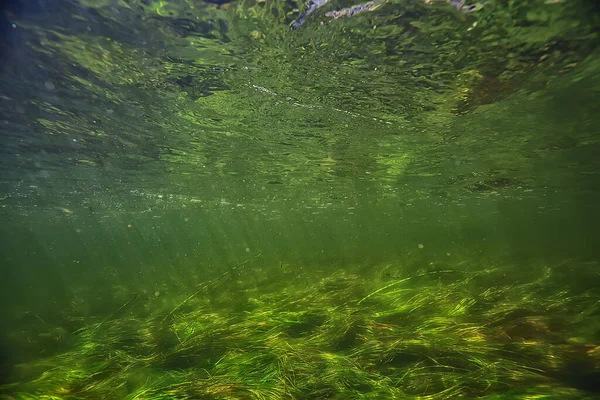 水下淡水绿色背景 阳光下 — 图库照片