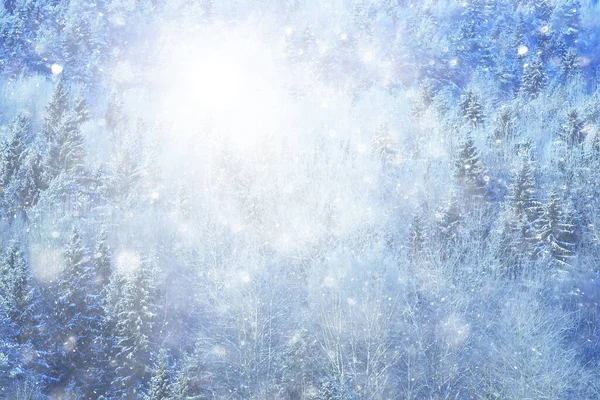 Vinter Bakgrund Snöfall Träd Abstrakt Suddig Vit — Stockfoto