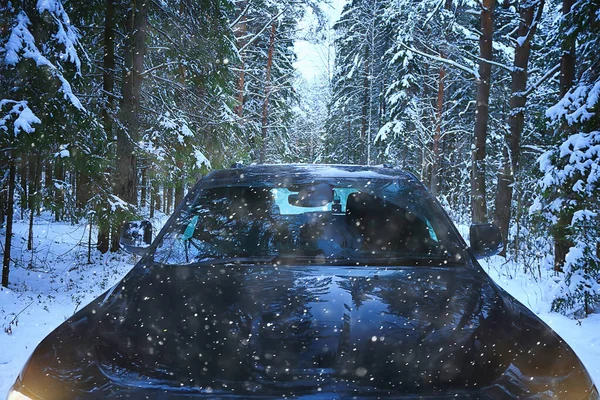 Carro Inverno Floresta Viagens Fundo Dezembro Natureza — Fotografia de Stock