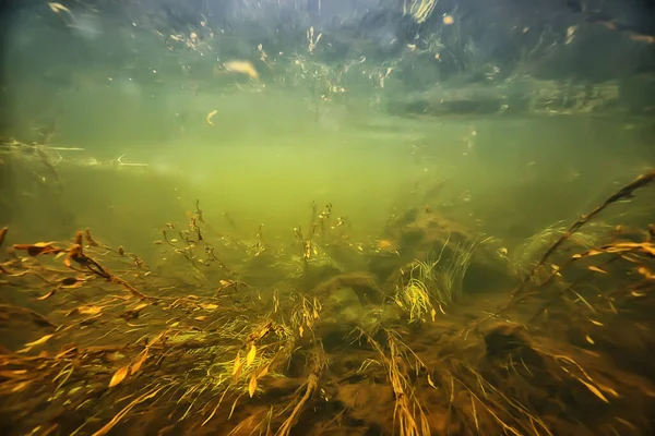 Groene Algen Onder Water Het Rivierlandschap Ecologie Natuur — Stockfoto