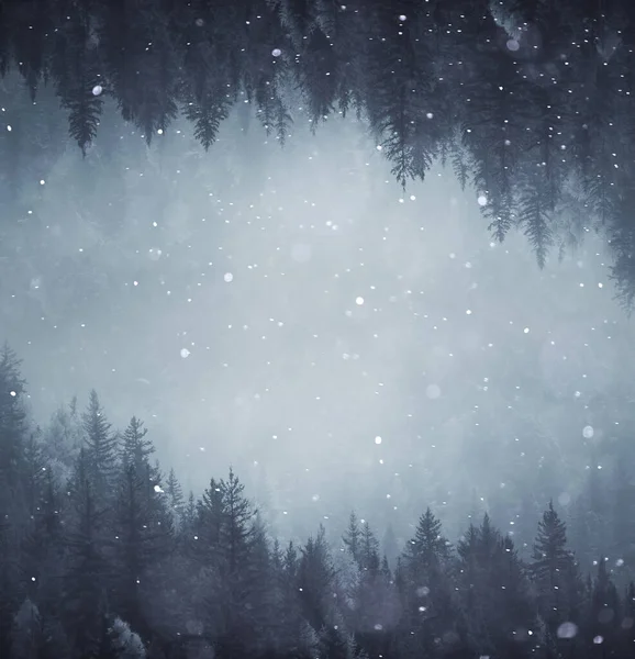겨울을 배경으로 내리는 나무들은 추상적으로 하얀색으로 얼룩져 — 스톡 사진