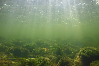 Güneş ışınları suyun altında, deniz manzarası tatlı su nehri dalışı