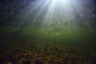 Güneş ışınları suyun altında, deniz manzarası tatlı su nehri dalışı