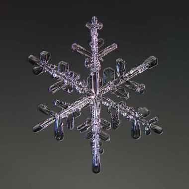 Kar taneleri siyah arka planda izole edildi. Doğal fotoğraf kristal kış tasarımı.