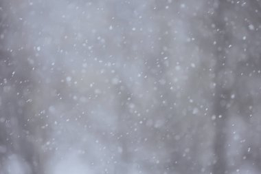 Soyut kar yağışı kış mevsimsel karı örtüyor