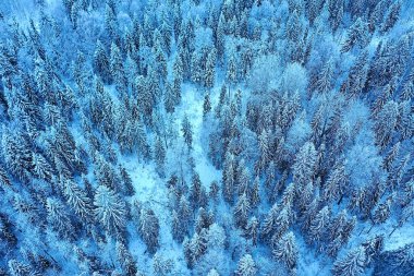 Ağaçlar orman buzu üst görünüm arka plan, soyut drone görünüm doğa mevsimsel kış çayırı