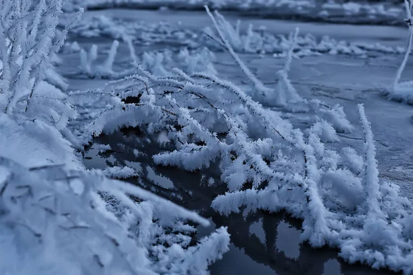 Branches Couvertes Givre Fond Abstrait Hiver Décembre Vue — Photo