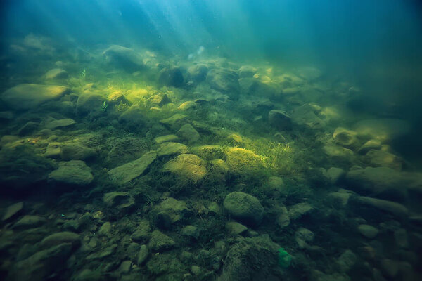 зеленые водоросли под водой в реке пейзаж реки, экология природы