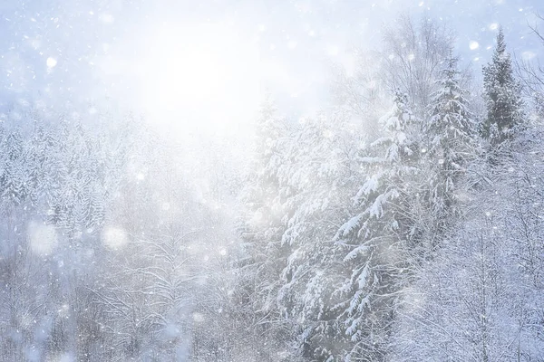 Winter Hintergrund Schneefall Bäume Abstrakte Verschwommen Weiß — Stockfoto