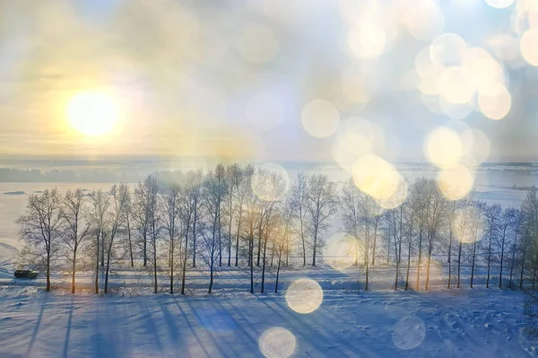 Hiver Route Vue Dessus Givre Forêt Paysage Extérieur — Photo