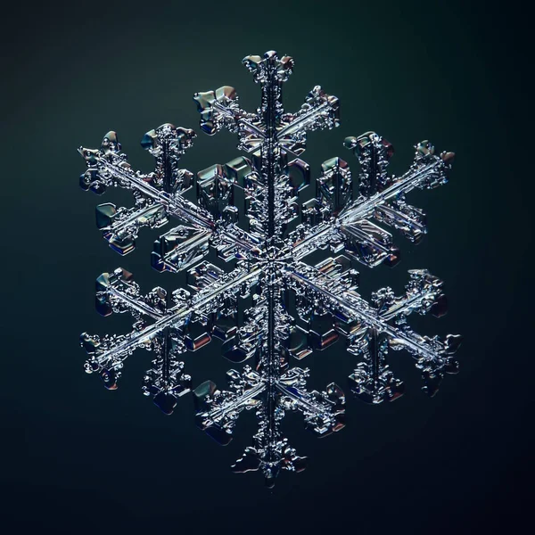 Snowflake Crystal Macro Photo Natural Object Winter Design — Stock Photo, Image