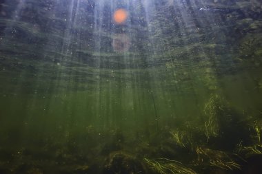 Nehir manzarasında yeşil yosunlar, nehir manzarası, ekoloji doğası.