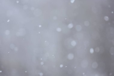 Soyut kar yağışı kış mevsimsel karı örtüyor