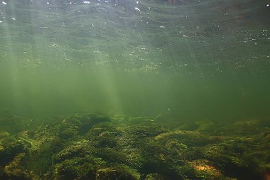 Güneş ışınları suyun altında, deniz manzarası tatlı su nehri dalışı