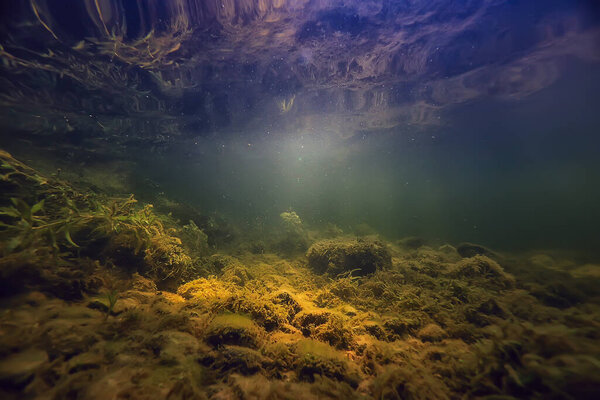 разноцветный подводный пейзаж в реке, чистая вода из водорослей, растения под водой