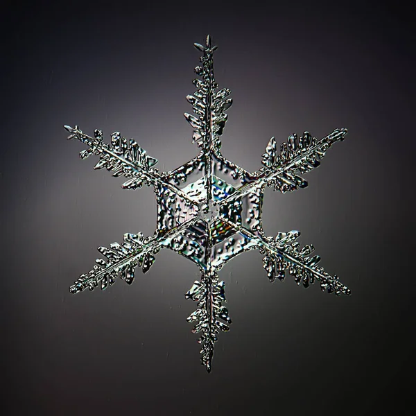 Schneeflocke Isoliert Auf Schwarzem Hintergrund Natürliche Foto Kristall Winter Design — Stockfoto