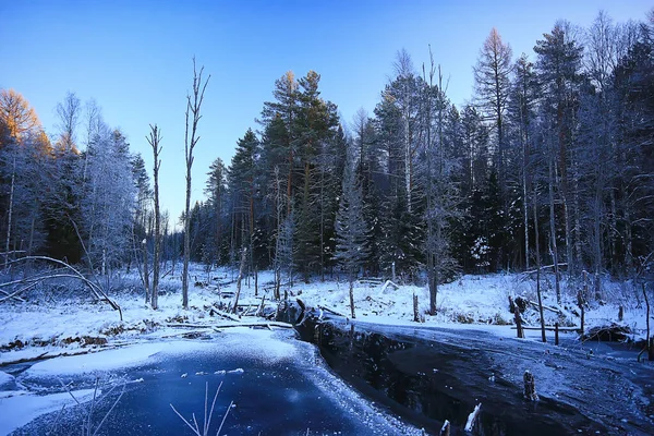 Paysage Rivière Hiver Vue Saisonnière Eau Neige Forêt — Photo