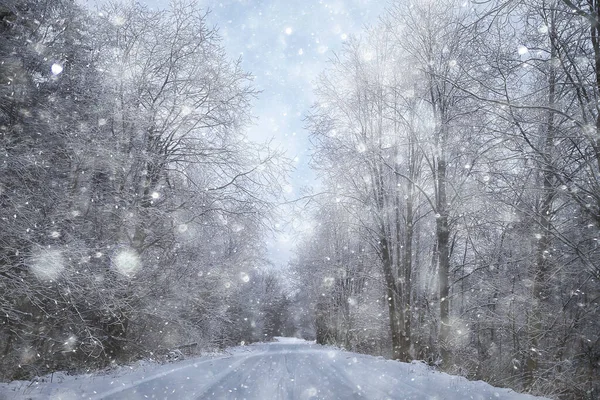 Grenar Täckta Med Frost Bakgrund Abstrakt Vinter December — Stockfoto